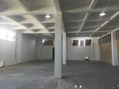 虹口區(qū)600方廠房出租